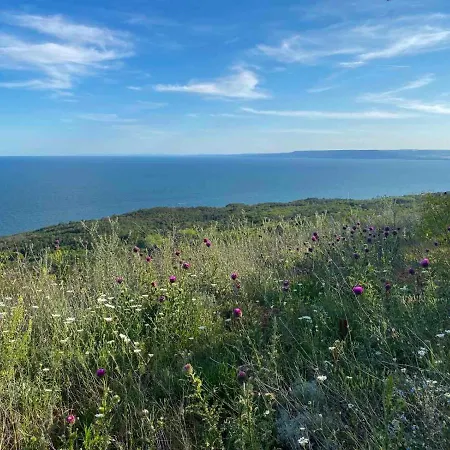 Lavanda Golf Case de vacanță *