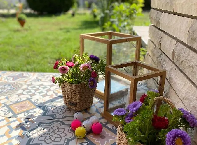 Lavanda Golf バルチク